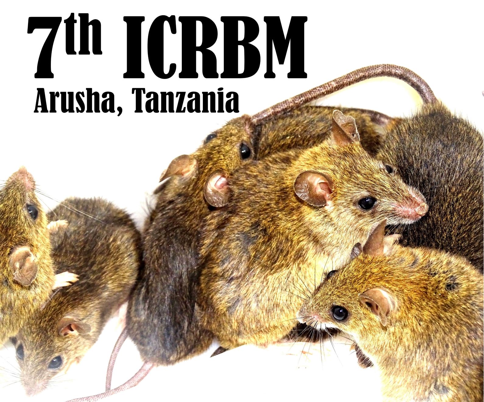 ICRBM7 logo redux